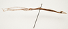 CollectionObject 1595839; 80da378a-a73d-47dc-9f38-a70c38887993: copyright LKCNH Singapore. male, lateral view (paratype). (CollectionObject).;CollectionObject 1595840; 25df2631-86d0-433d-ac2d-372111d887f9: copyright LKCNH Singapore. male, lateral view (paratype). (CollectionObject).