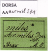 labels. Depicts CollectionObject 1538348; e31fa9ed-be36-4333-a85a-79d9b9acdf70, a CollectionObject.