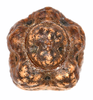 CollectionObject 1591581; ef0a6072-6b5e-4782-91e7-ed9a06ccf840: copyright IMQC Montreal. Egg from above, showing operculum (paratype). (CollectionObject).;CollectionObject 1591582; fa4db674-bfae-4941-b1c8-74c2509efb01: copyright IMQC Montreal. Egg from above, showing operculum (paratype). (CollectionObject).;CollectionObject 1591583; d22abb32-c984-4e04-a71b-0ad51a6310a5: copyright IMQC Montreal. Egg from above, showing operculum (paratype). (CollectionObject).