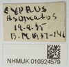 CollectionObject 1581309; c58ee664-0fde-4cda-b5db-2423f016bf9e, NHMUK10924579: labels. (CollectionObject).