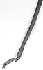 Hind wing.: !! display not done !! on Anoecia (Anoecia) cornicola (Walsh, 1863): Hind tibia of Anoecia cornicola. (Observation).