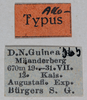 CollectionObject 1575337; 0e827fd0-3927-4115-b53d-9e3df75fba2a: female, labels (allotype of Desmopterina elegans). (CollectionObject).