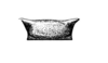 Lempira archimimus (Rehn, 1938): Fig. 12 (after type). female, cephalic portion of prosternum and prosternal process, ventral view. (Otu).