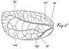 Corycoides Uvarov, 1939: Fig. C. left female tegmen of Corycus (schematical). (Otu).