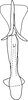 Aedeagus, ventral view on Anufrievia curva Yang & Zhang, 2018: Aedeagus, ventral view. (Observation).