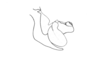 Propedies bilobus (Giglio-Tos, 1897): Fig. 31G. aedeagus, lateral view. (Otu).