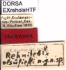 CollectionObject 1537568; f4c954ee-a4a1-4f03-a10b-b031e7b36e8a: labels (holotype). (CollectionObject).
