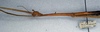 CollectionObject 1561620; NMW 355, 84c24e1f-02d9-4302-9b79-e6b54add229d: female (holotype). female: head and thorax, lateral view (holotype). (CollectionObject).