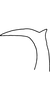 Stylus on Anufrievia subdentata Yang & Zhang, 2018: Stylus. (Observation).