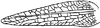 Nannonotus alatus Beier, 1960: Fig. 42. female left tegmen (length 16 mm). (Otu).