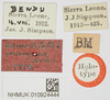 CollectionObject 1518025; 7588efb1-eb14-41c1-af71-bde150bb24a0, NHMUK10924444: female (holotype), labels. (CollectionObject).
