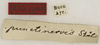 labels (probably holotype). Depicts CollectionObject 1529797; 68854a4f-9d74-44b3-b886-48694f23a70c, a CollectionObject.