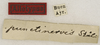 CollectionObject 1529797; 68854a4f-9d74-44b3-b886-48694f23a70c: labels (probably holotype). (CollectionObject).