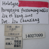 CollectionObject 1536446; 7fbb12e7-3b5b-4ef4-85fe-9ab3e1be4567: labels (holotype). (CollectionObject).