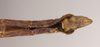 CollectionObject 1561303; 130d3935-aafd-422d-aeac-115fde2bd7a7: copyright Natural History Museum, London. female: end of abdomen, ventral view of Perlamorphus peleus (holotype). (CollectionObject).