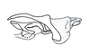 Agenacris debilis Amédégnato & Descamps, 1979: Fig. 244. phallic complex without epiphallus, lateral view. (Otu).