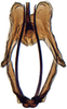 Aedeagus, ventral view: Gannia viraktamathi, aedeagus, caudally (INHS). (Observation).