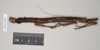 CollectionObject 1563139; 0872858b-3c8b-4f76-ab9a-0476d53970bf: copyright Natural History Museum, London. female, lateral view of Oxyartes lamellatus (paralectotype). (CollectionObject).;CollectionObject 1563140; e690f7dd-2212-4cc5-a841-85c694de7525: copyright Natural History Museum, London. female, lateral view of Oxyartes lamellatus (paralectotype). (CollectionObject).