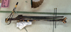 CollectionObject 1558657; 133da2a3-3d44-4789-86e5-4671977f2951: copyright NMW, Vienna. male, lateral view (syntype). (CollectionObject).;CollectionObject 1558658; d4fb1899-121f-4e8d-be5e-b67e32f58e28: copyright NMW, Vienna. male, lateral view (syntype). (CollectionObject).