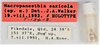 CollectionObject 1618731; 9539a06a-e6d4-4a89-a363-4209a734aaf4: (CollectionObject).
