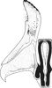 Stylus: !! display not done !! on Jassargus (Jassargus) distinguendus (Flor, 1861): Stylus. (Observation).
