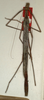 CollectionObject 1558809; NMW 978', 9fce1bb4-7e22-4abc-bf83-f726620f45d3: copyright NMW, Vienna. female (paralectotype). (CollectionObject).
