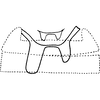 Abdomen, sternal apodemes, ventral view: Abdomen, sternal apodemes, ventral view. (Observation).
