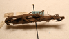 CollectionObject 1591088; 17df4974-45c9-4dc0-a1d9-20c2d1d2caa6: copyright NMW, Vienna. male & female, lateral view (paratypes). (CollectionObject).;CollectionObject 1591089; f3dbc927-0dc8-49a2-a18d-48e9c0fea6a7: copyright NMW, Vienna. male & female, lateral view (paratypes). (CollectionObject).