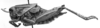 CollectionObject 1477910; 8700d41f-1ab6-4611-bd1d-a46a02a5cfce: Image Carbonell, C.S. female, lateral view (syntype). (CollectionObject).