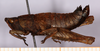 CollectionObject 1499384; 986542aa-0bb9-4902-a7bb-3dbbfef98788: male, lateral view (holotype). (CollectionObject).
