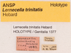 CollectionObject 1523709; f8c0e35e-62b4-47d4-bd1a-191d58e7a3d8: labels (holotype). (CollectionObject).