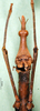 CollectionObject 1500894; dcb9b032-1bc7-4576-b249-04d1728e0000: female, frontal view (holotype). (CollectionObject).