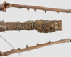 CollectionObject 1581484; 601aaab1-9f4d-494f-82cb-9f429d3f9c9c: copyright Frank Hennemann. male: end of abndomen, dorsal view (paratype). (CollectionObject).;CollectionObject 1581485; 3938798b-529d-44e9-82ff-15e0daf0f616: copyright Frank Hennemann. male: end of abndomen, dorsal view (paratype). (CollectionObject).;CollectionObject 1581486; 1af7e260-95ab-4227-a8ca-0b12eff77cd5: copyright Frank Hennemann. male: end of abndomen, dorsal view (paratype). (CollectionObject).