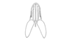 Leptysmina gracilis Bruner, 1911: Fig. 9A. male, eyes and fastigium, dorsal view. (Otu).