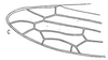 Forewing: !! display not done !! on Cariancha Oman, 1938: forewing. (Observation).