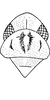 Head: Head, pro-, and mesothorax. (Observation).
