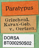 CollectionObject 1502692; 6343c796-3c2e-473c-883b-837d9b8252ad: labels (paratype). (CollectionObject).