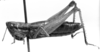 CollectionObject 1566323; 5f44531d-f74e-4407-9845-063092944ad0: Image Carbonell, C.S. female, lateral view (paralectotype). (CollectionObject).