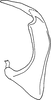 Aedeagus, lateral view on Bretega furciverpa Stiller, 2017: Aedeagus, lateral view. (Observation).
