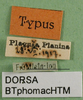 CollectionObject 1500478; 28954a4b-2645-4274-ae34-4edfad70430f: labels (holotype). (CollectionObject).