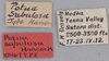 CollectionObject 1523082; a91740e7-1d5d-4f26-8a7b-5314e7457df7: labels (holotype). (CollectionObject).