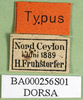 CollectionObject 1500238; f9adff24-880b-493b-9e27-89c69e499b77, DORSA BA000256S01: labels (syntype). (CollectionObject).