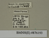 CollectionObject 1572931; 70c634fb-f7c8-47ed-aa48-dc5ade6cb4ec: Copyright Natural History Museum, London. Labels from non-type (adult female) in BM(NH). (CollectionObject).