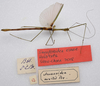 CollectionObject 1584632; 009aada2-dfd6-41dd-93a3-44be6e23e54a: (CollectionObject).