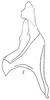 Stylus: !! display not done !! on Mendozellus isis (Linnavuori, 1959): Stylus. (Observation).