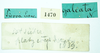 CollectionObject 1593707; 92f9afac-292d-4ee7-90a1-36737d11cca1: female (no type), labels. (CollectionObject).