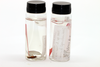 CollectionObject 1581883; d052722c-7276-4c6a-9b7e-d081e2d295d7: vials with specimens (type specimens). (CollectionObject).