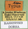CollectionObject 1576306; a5ca764b-0321-43a8-b777-d67c5b082ca1: labels (allotype). (CollectionObject).