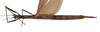 CollectionObject 1557221; NMW 972', 47213140-8d79-4db1-995a-2cef86019d43: copyright NHMW, Vienna. female, ventral view (holotype). (CollectionObject).