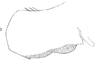 Pygofer, lateral view: !! display not done !! on Cahya chapadensis (Baker, 1923): pygofer, median aspect. (Observation).